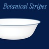 image:imageCorelle 6Piece 18oz Round Bowls Vitrelle Triple Layer Glass Perfect for Soup Cereal and Snacks Lightweight Chip and Scratch Resistant Microwave and Dishwasher Safe Botanical StripesBotanical Stripes